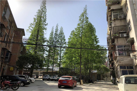 城北翠湖天地3室2厅2卫145.6万119m2出售北辛，滕北